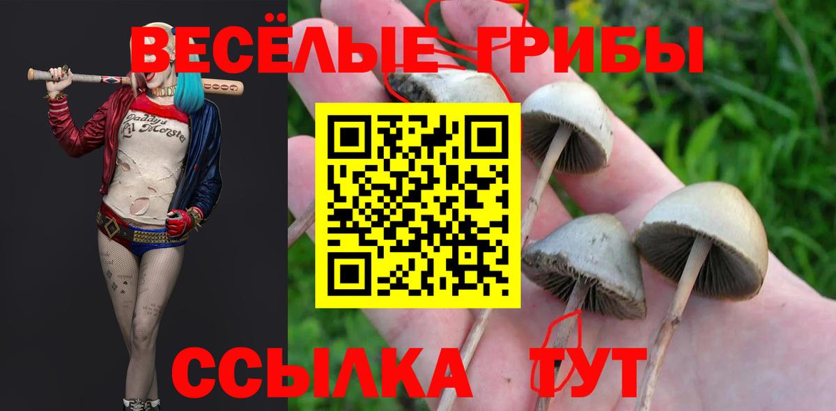 Галлюциногенные грибы Cubensis  Вход с VPN  Норильск 